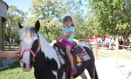 Petting-Farm General Admission for One, Two, or Four to Green Meadows Petting Farm (Up to 25% Off)