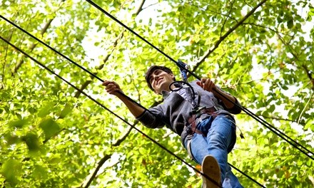 Sky Tykes Ropes Course or Climb Pass at Palisades Climb Adventure (Up to 46% Off). Five Options Available.