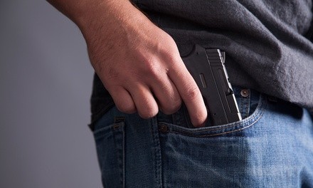 $10 for Concealed-Carry Permit Training Course for One ($60 Value)