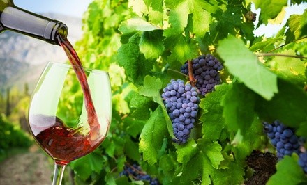 Vineyard Tour, Tasting, and Souvenir Glasses for Two, Four, or Six at Tolino Vineyards (56% Off) 