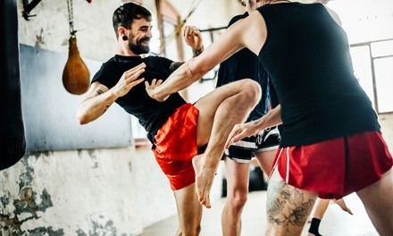 Six or Twelve Boxing, Muay Thai or Aikido Classes at Ultimate Gym (Up to 60% Off)