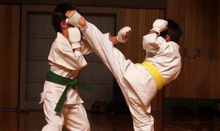 One or Three Months of Martial Arts Classes at Charlotte Shotokan (64% Off)