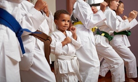 Four- or Six-Week Trial with Uniform at All American TKD Academy (Up to 92% Off)