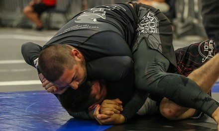 Two Weeks or One Month of Unlimited Martial Arts Classes for Adults at Warrior Martial Arts (Up to 98% Off)
