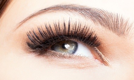 One Eyebrow Tint or Eyelash Lift & Tint with $5.00 Gift Certificate at Looks and Lashes by Lex (Up to 55% Off)