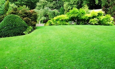 Up to 41% Off on Lawn Mowing Service at Selph Services