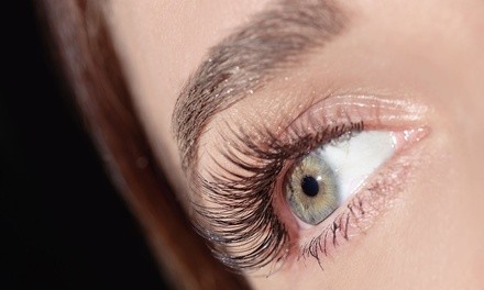 Full Set of Classic or Volume Mink Eyelash Extensions at Q-Lash Studio (Up to 69% Off)