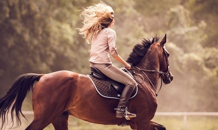 Horse-Simulator Riding Lesson with Optional 30-Minute Session with Real Horse at Five Horses (Up to 54% Off)