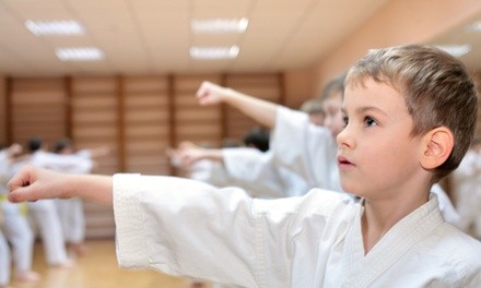 10 or 16 Martial-Arts Classes and Uniform with Option for Test and a Graduation Belt at Go2Karate (95% Off)