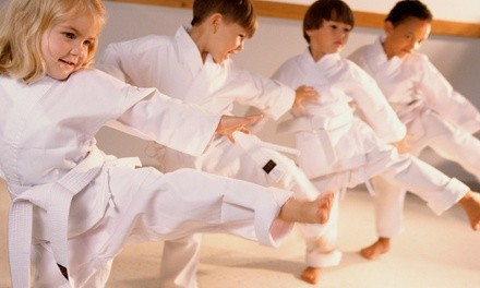 $12.80 for Twelve Martial Arts Classes with Uniform at Oriental Martial Arts College (Up to $350 Value)