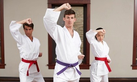 86% Off Martial Arts / Karate / MMA