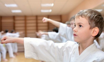 10 or 16 Martial-Arts Classes and Uniform with Option for Test and a Graduation Belt at Go2Karate (95% Off)