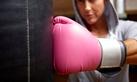 Up to 90% Off on Boxing / Kickboxing - Training at The Dojang