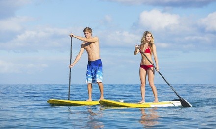 One or Full-Day Two Stand Up Paddleboards Rental at BlueZone Sports (Up to 37% Off)