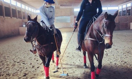 One-Hour Polo Lesson for One or Up to Two or Four People at Detroit Polo School (Up to 30% Off)