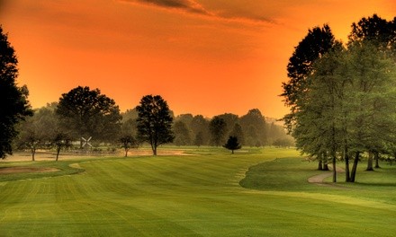 Two or Four Discount Golf Cards from My Loop Discount Golf Card (Up to 33% Off)  