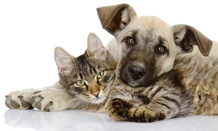 Up to 59% Off at easyvetclinic alpharetta