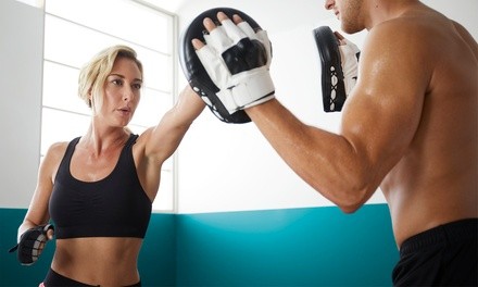 $75 for Three Months of Beginners Classes for One at Osagame Martial Arts ($336 Value)