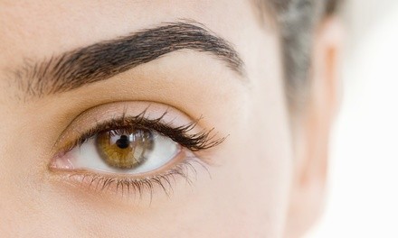 Microblading or Microshading Session with Optional Touch-Up at Fracassi Lashes (Up to 80% Off)