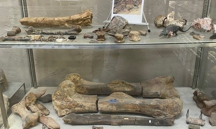 Single-Day Return to Laramidia Exhibit Admission for One Adult or Child at Texas Through Time (Up to 25% Off)