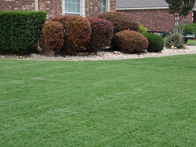 Up to 34% Off on Pest Control Service - General at WestTurf Texas