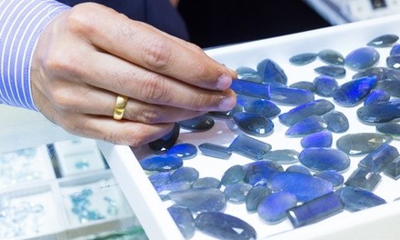 The International Gem & Jewelry Show (April 2–4)