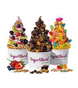 $10 For $20 Worth Of Frozen Yogurt