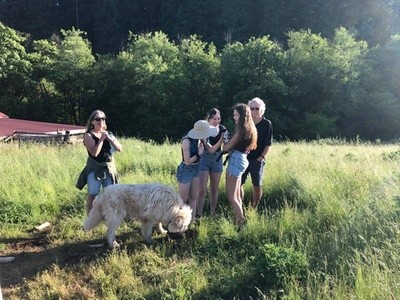 Up to 50% Off on Farm Tour at Hidden Lake Ranch