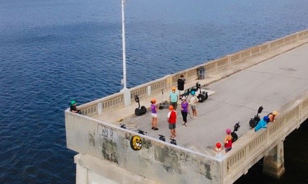 Up to 48% Off on Tour - Segway at Fun Florida Tours