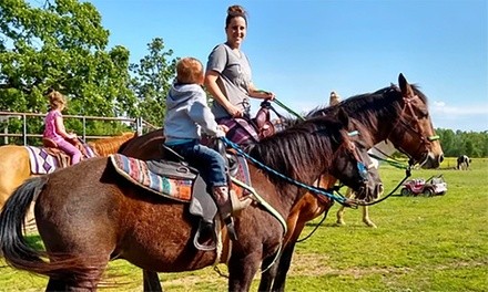 One-Hour Riding Lesson for One or Two at Sunshine Acres Ranch (Up to 41% Off)