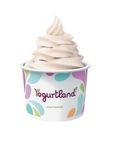 $10 For $20 Worth Of Yogurt & More