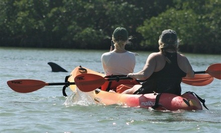 Two- or Four-Hour Single or Tandem Kayak Rental at Nauti Exposures (Up to 37% Off)