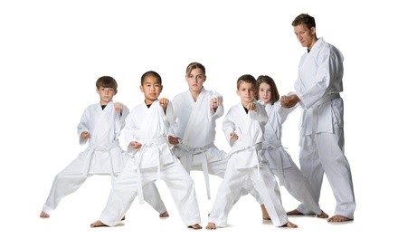 $49 for One Month of Unlimited Beginner Karate Classes at Premier Karate ($99 Value)