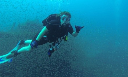 Scuba Diving Course from AES Dives Alabama (Up to 62% Off). Five Options Available.