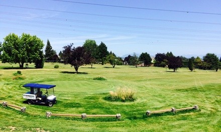 9-Hole Round of Golf for One, Two, or Four Including Beers at Clayton Hills Golf Course (Up to 44% Off)