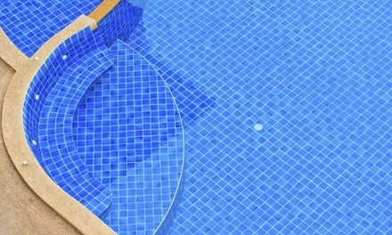 $94 for $170 voucher — Texans Pool Services