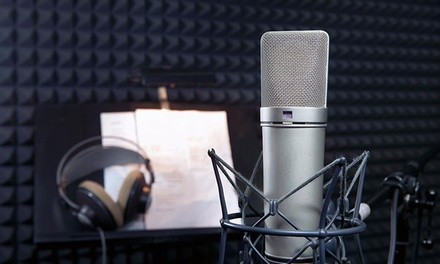 $21.25 for Virtual or In-Person an Intro to Voice-Over Workshop at The Voice Actors Studio ($49 value)