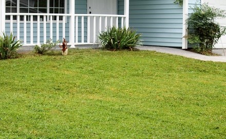 Up to 34% Off on Lawn Mowing Service at Next Door Lawn Care