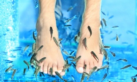 Fish Spa Experience at Garra Spas (Up to 24% Off). Four Options Available.
