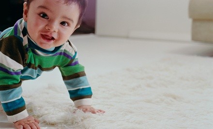 $276 for $329 Worth of Rug and Carpet Cleaning — Best Mesa Carpet Cleaning