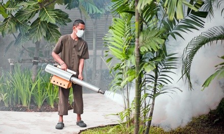 $100 Off $249 Worth of Pest Control Service - General