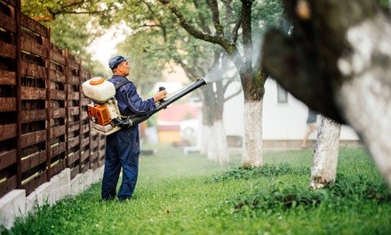 $49 for Exterior Mosquito Control Treatment for Up to Quarter-Acre from Cactus Pest Control ($99 Value)