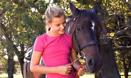 Two 45-Minute Private Horseback-Riding Lessons for One or Two at Luton Training Center (Up to 50% Off)