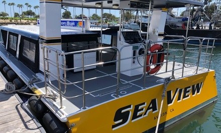 One-Hour Sea-View Glass Bottom-Boat Cruise for Two, Four, or Six from ToursX (Up to 40% Off)