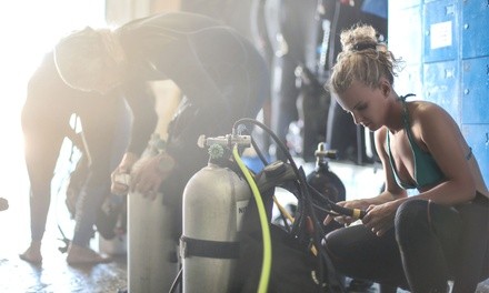 PADI Scuba Certification for One or Two from Ohana Dive Co. (Up to 25% Off)