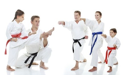 $35.10 for 10 Martial Arts Classes or Self Defense Courses at Karate International ($204 Value)
