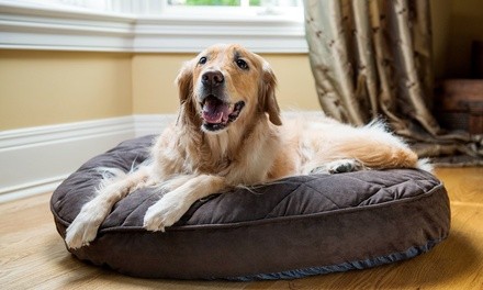 Live-In Pet Sitter for One or Three Nights from Grand Paws Pet Sitting Service (Up to 54% Off) 