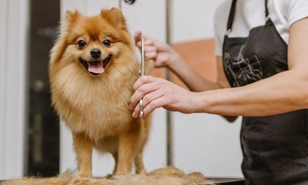 Up to 24% Off on Mobile Grooming at Happy Paws Pet Services