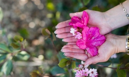 $52 for $200 Worth of Services — MeetKahila