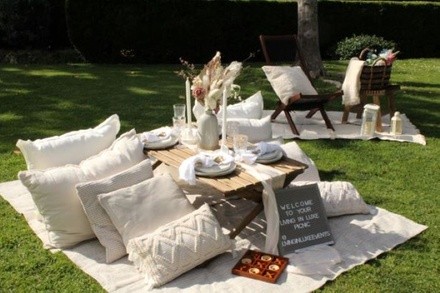 Up to 35% Off on Party Supplies (Retail) at Living In Luxe Events